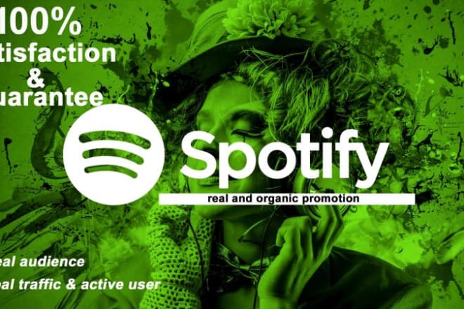 I will do viral spotify album promotion via playlist placement
