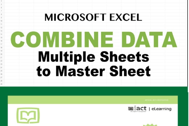 I will excel formula function vba macro pivot chart analysis