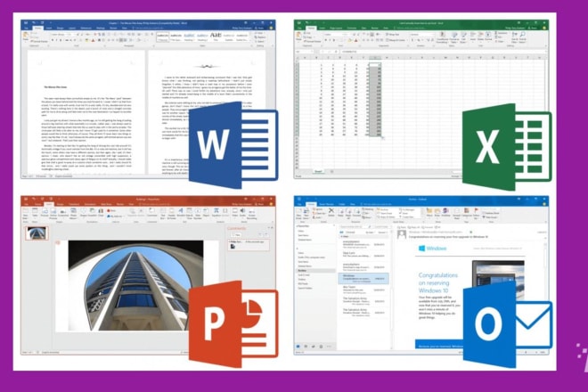 I will expert in ms office like excel, power point and word