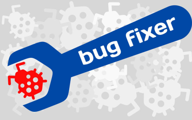 I will fix bugs in your web application and do code review