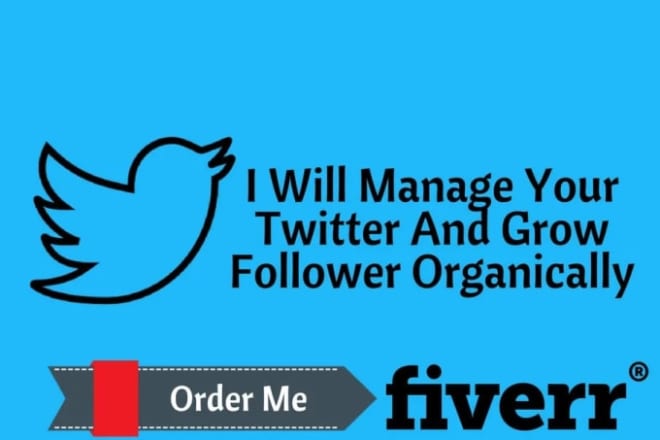 I will get twitter real and targeted followers