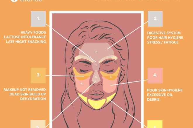 I will infographic for social media attraction