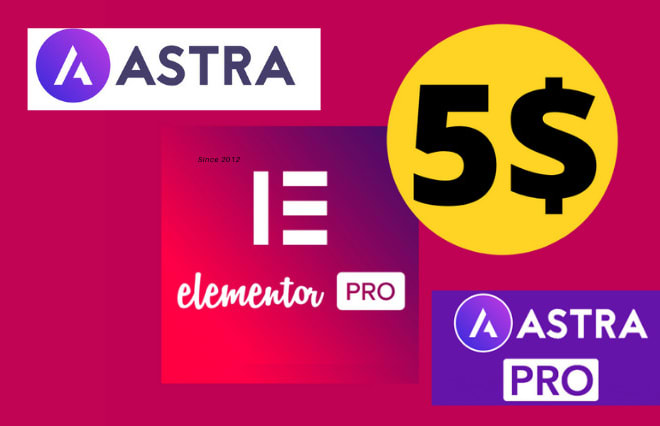 I will install elementor pro astra pro licensed updatable on wordpress website