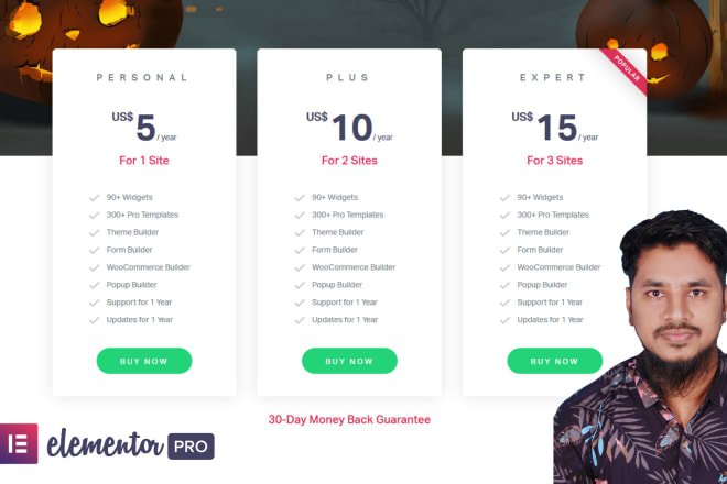 I will install elementor pro wordpress page builder and pro templates on your website