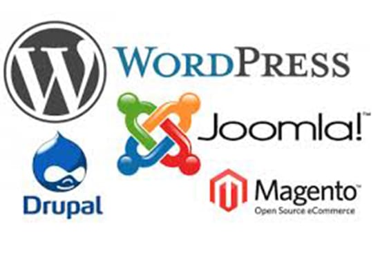 I will make professional wordpress, drupal and joomla website