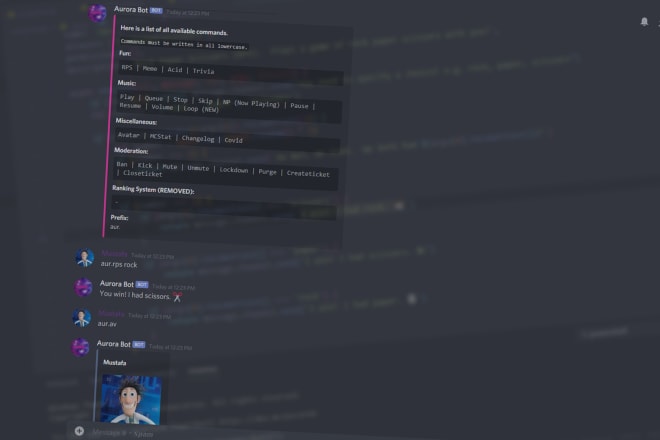 I will make you a cheap 24 7 hosted discord bot