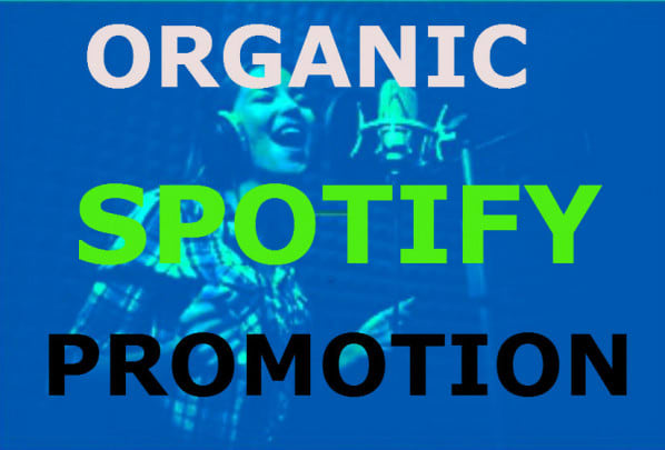 I will organically promote your song on spotify