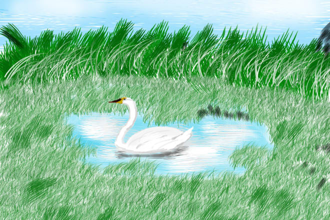 I will paint digital watercolor illustration and landscapes