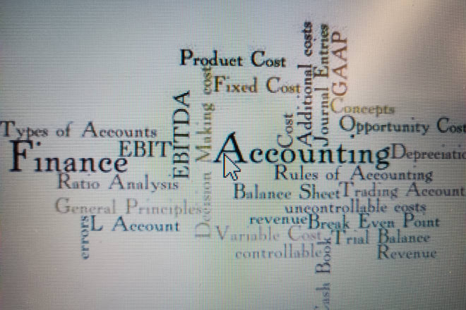 I will provide financial, accounting and auditing services