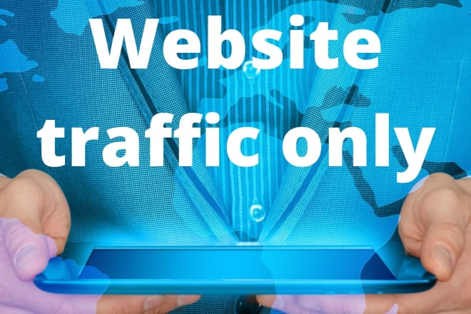 I will real web traffic 300,000