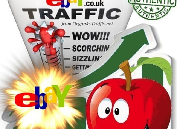 I will send traffic visitor to your ebay store