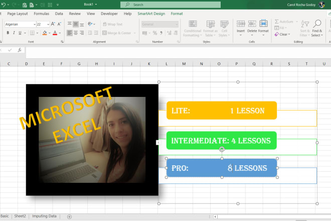 I will teach you microsoft excel