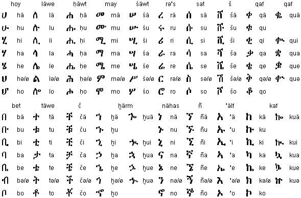 I will translate amharic and tigrinya to english