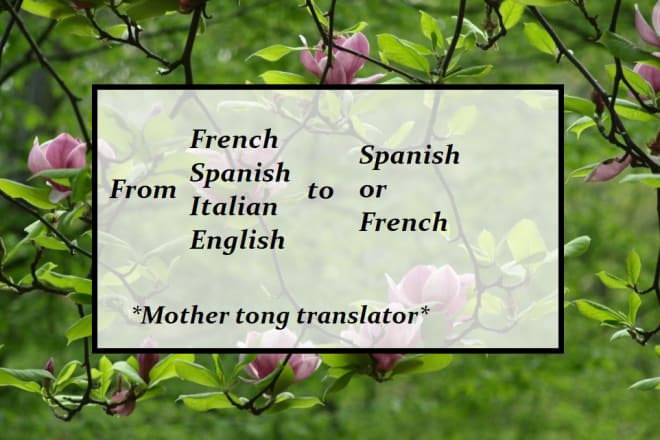 I will translate from french,spanish,italian,english to french or spanish