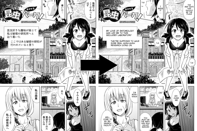 I will translate manga and doujinshi from japanese to english, any genre