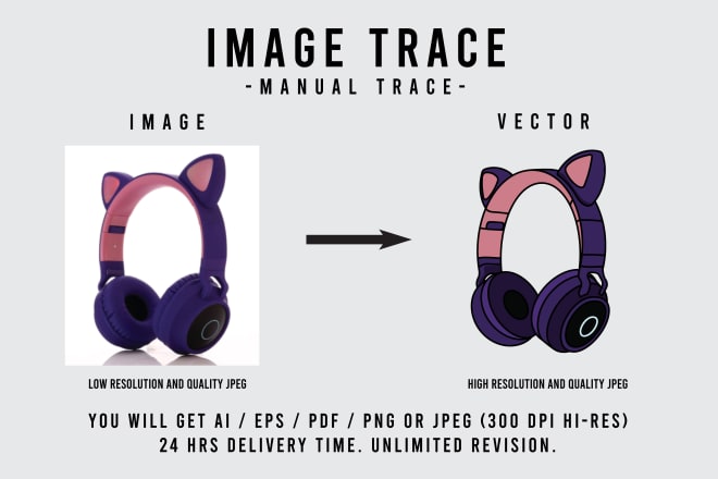 I will vector trace, vectorize, convert image or logo to vector