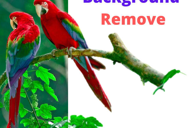 I will background removal image and photo quickly delivery buy 5 get 2 free