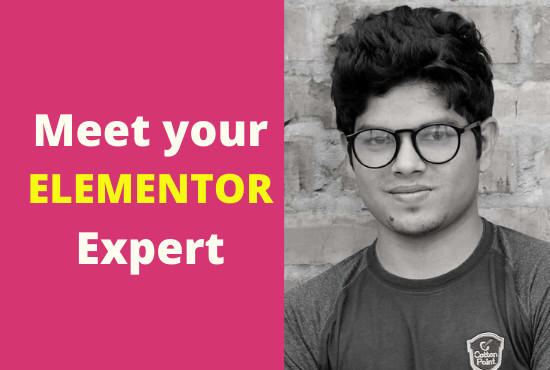I will be your elementor expert and design responsive website by elementor pro