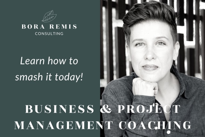 I will be your expert business and project management mentor