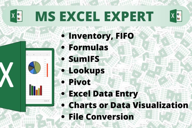 I will be your ms excel expert and do data entry