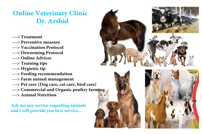 I will be your online veterinary doctor for small and large animals