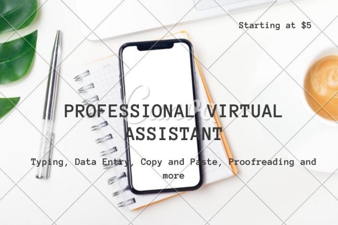 I will be your professional virtual assistant