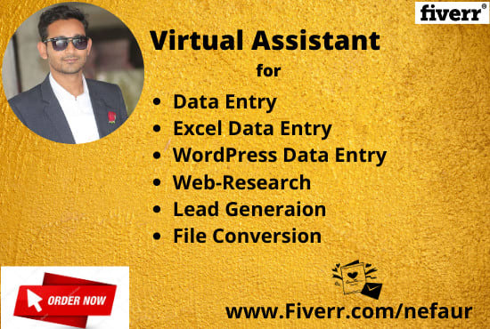 I will be your virtual assistant for data entry and web research