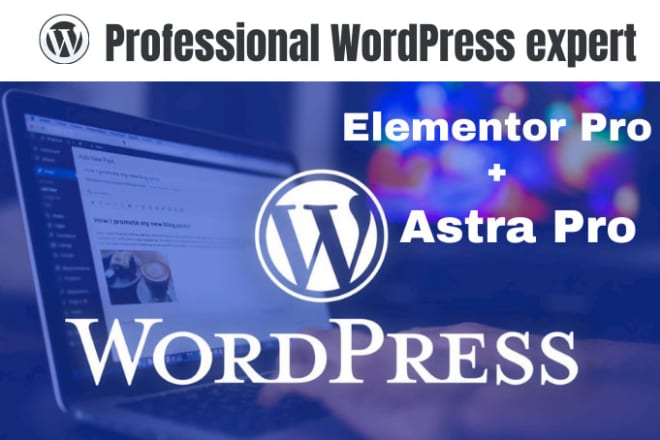 I will be your wordpress expert for elementor pro and astra pro