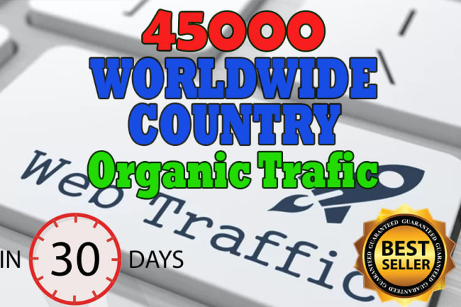I will bring unlimited organic worldwide web traffic