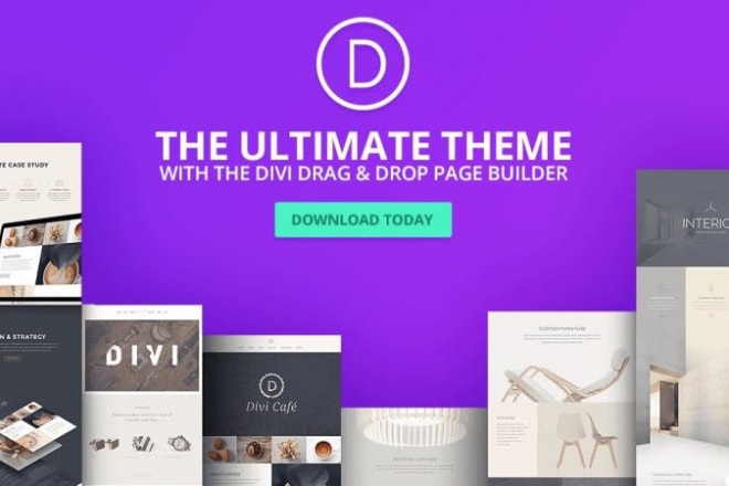 I will build a modern, elegant wordpress website with divi theme