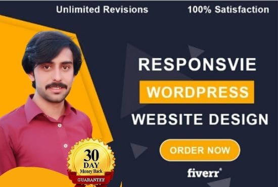 I will build a professional wordpress website