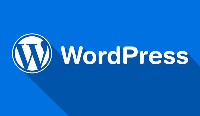 I will build a wordpress website for your business