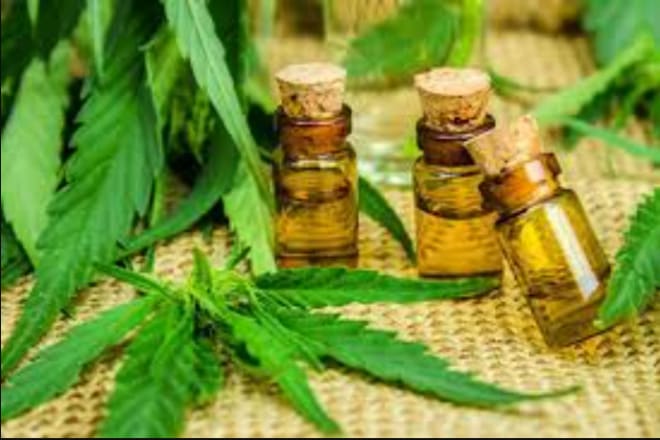 I will build an attractive cbd, indian hemp, marijuana website