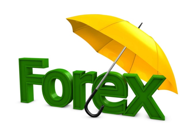 I will build and do forex trading promotion landing page for you