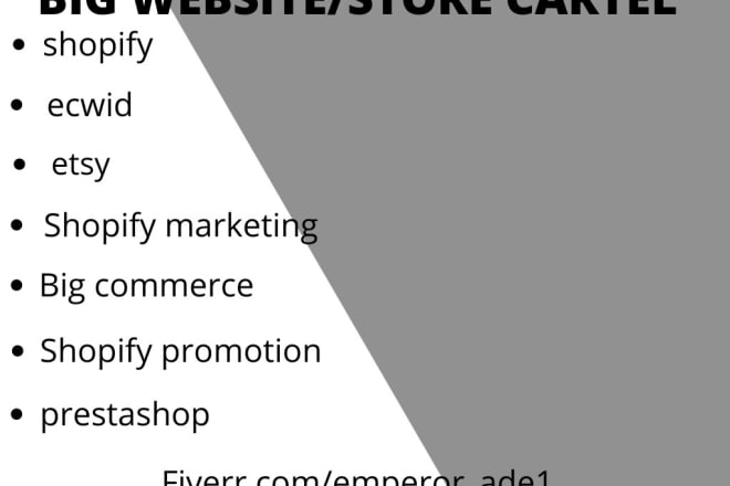 I will build and promote a responsive big cartel website and store