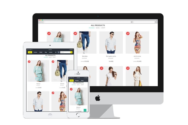 I will build e commerce website using opencart