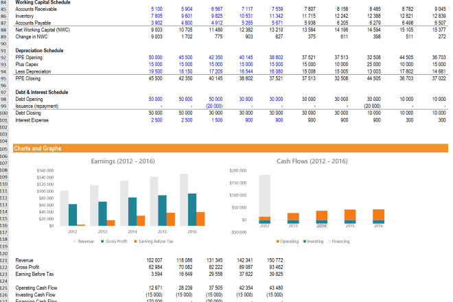 I will build excel financial model, forecasts,budget, business plan