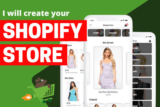 I will build shopify dropshipping store, shopify customization