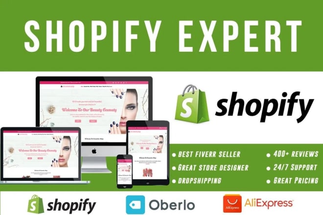 I will build your professional shopify store for online earning