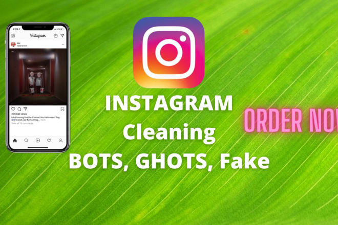 I will clean your instagram from fake and ghost followers