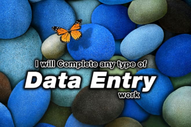 I will complete your all type of data entry work
