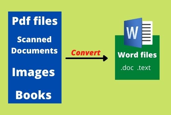 I will convert PDF to word or scanned pages to word or google docs