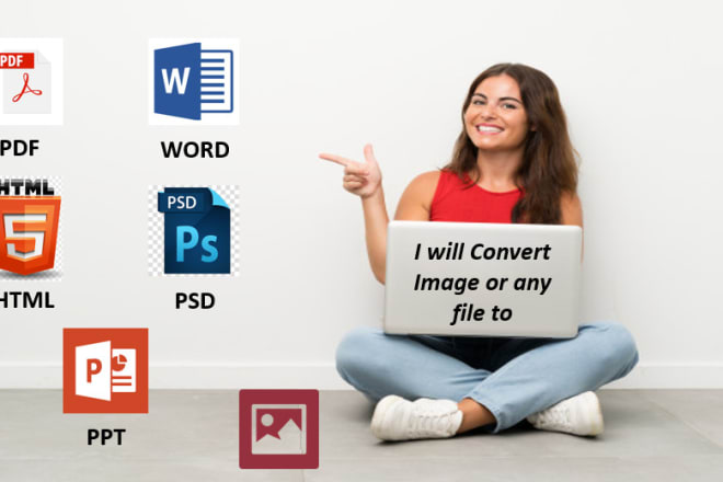 I will convert pdf to word, word to pdf, ppt