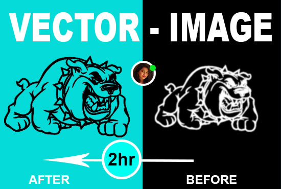 I will convert raster to vector, improve graphics, refresh or redesign logo