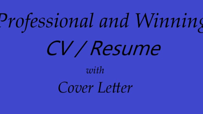 I will creare un CV professionale e vincente