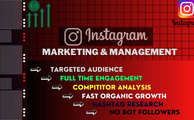 I will create a perfect instagram marketing for organic growth and engagement