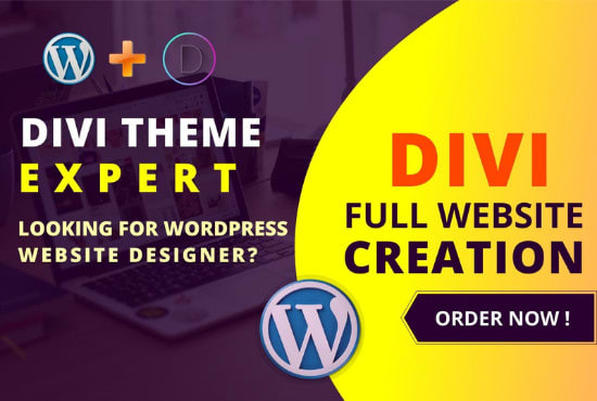 I will create elegant wordpress website or blog with divi theme