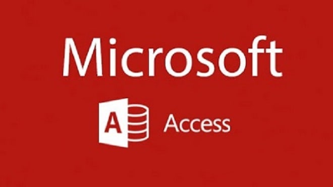 I will create microsoft access database projects for you