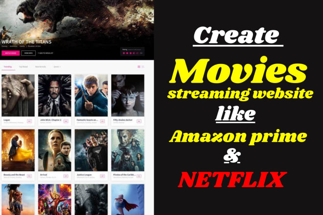 I will create movies and tv shows live steaming website with psyplay