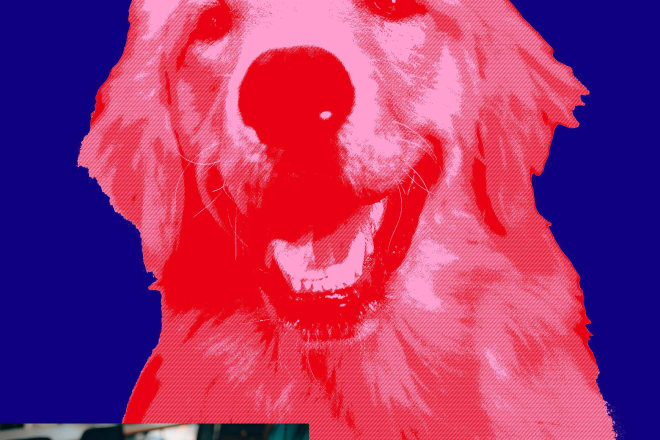 I will create pop art andy warhol style from your pet photo